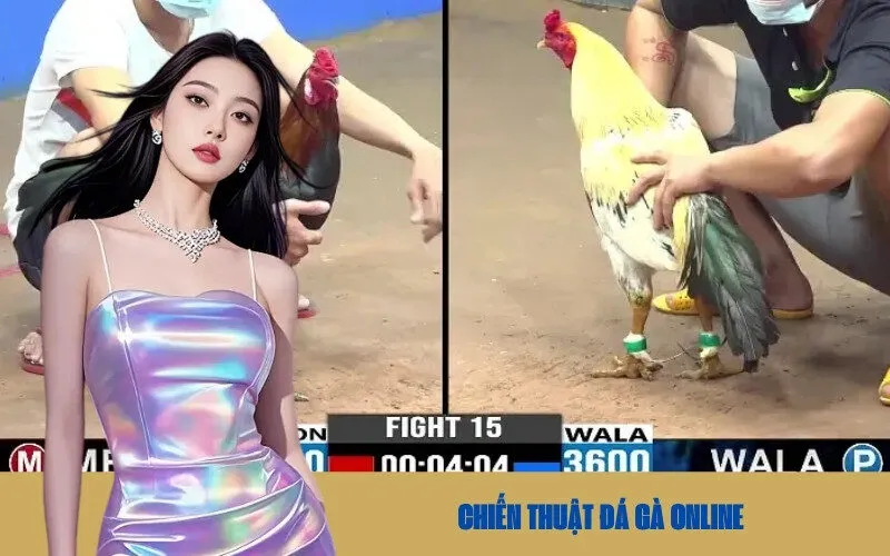Chiến Thuật Đá Gà Online