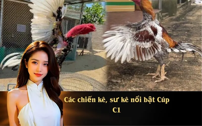 Các chiến kê, sư kê nổi bật Cúp C1