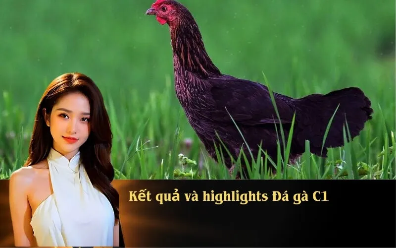 Kết quả và highlights Đá gà C1