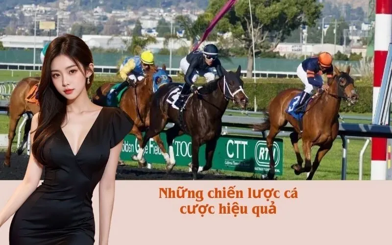 Những chiến lược cá cược hiệu quả