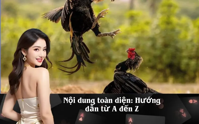 Nội dung toàn diện: Hướng dẫn từ A đến Z